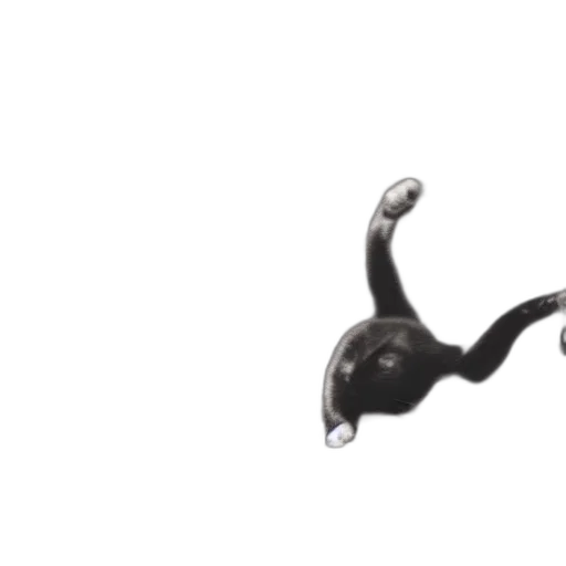 shoes, staff, jewelry, weapon, 3d render, concept art, photorealistic, levitating transparent PNG cut-out