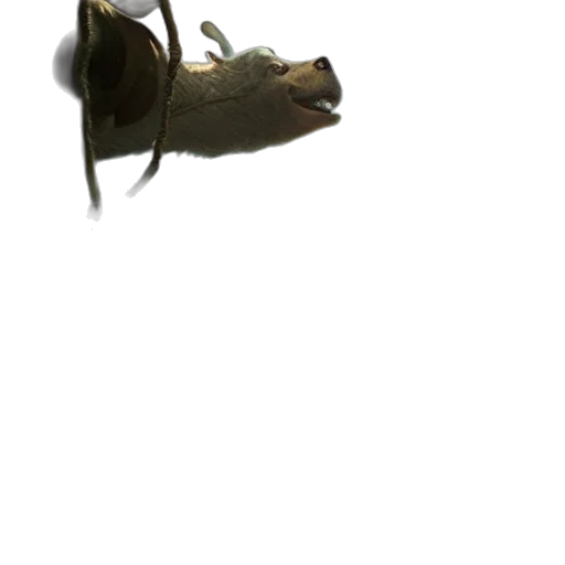dragon, animal, creature, mask, concept art, 3d render, photorealistic, fantasy art transparent PNG cut-out