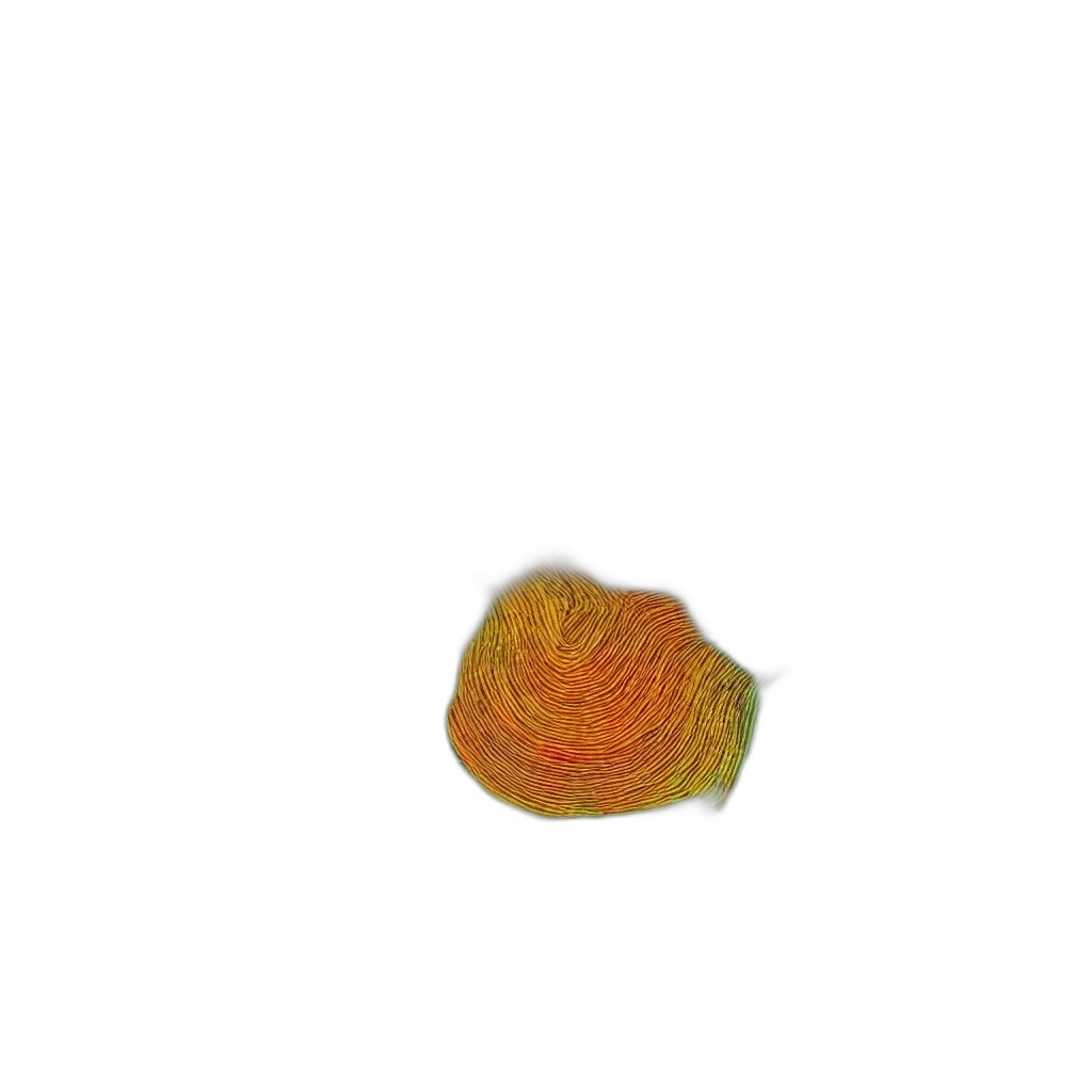 flower, hair, jewelry, food transparent PNG cut-out