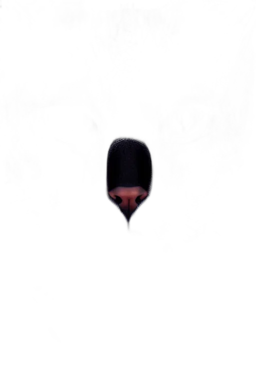 mask, umbrella, face, hat transparent PNG cut-out