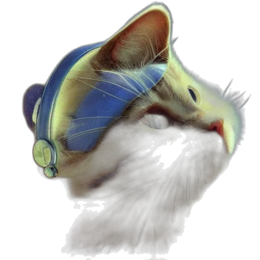 hat, staff, animal, face transparent PNG cut-out
