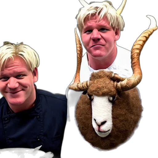 animal, chef, gordon, ramsay, ram, sheep, horns, wool transparent PNG cut-out