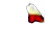 hat, shoes, food, staff transparent PNG cut-out