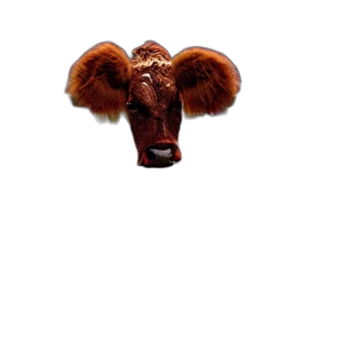 animal, face, mask, creature, 3d render, photorealistic, concept art, pixel art transparent PNG cut-out