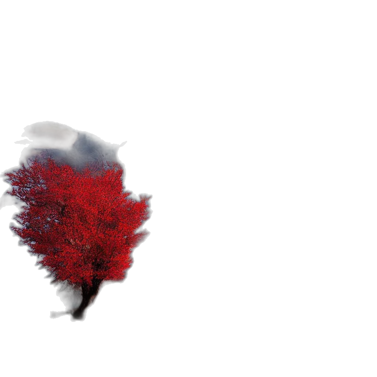 hair, tree, flower, mask, 3d render, photorealistic, concept art, pixel art transparent PNG cut-out