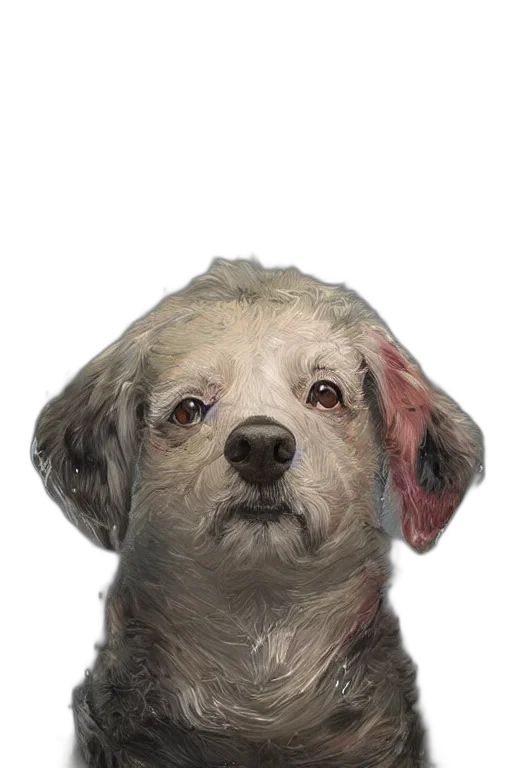 animal, face, creature, staff transparent PNG cut-out