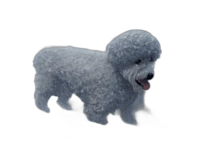 animal, creature, 3d render, photorealistic, concept art, prompt, bichon, battles transparent PNG cut-out