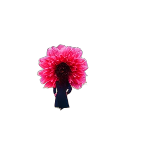 flower, crown, hair, staff transparent PNG cut-out