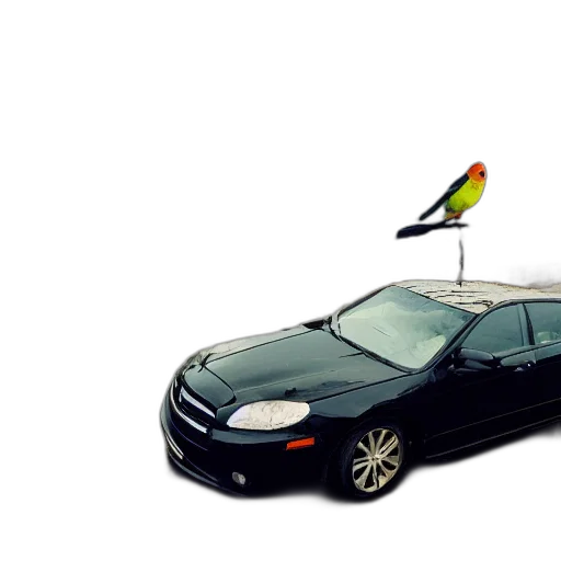 car, umbrella, hat, staff, 3d render, photorealistic, concept art, large transparent PNG cut-out