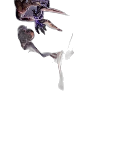 dragon, creature, animal, staff transparent PNG cut-out