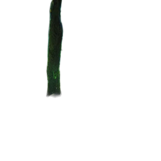 sword, staff, weapon, tree transparent PNG cut-out