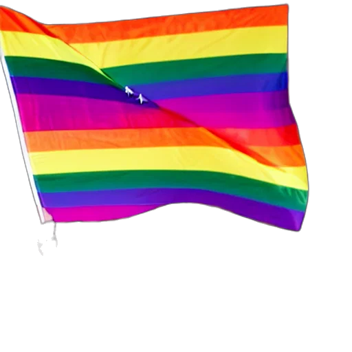 umbrella, weapon, hat, jacket, colorful, stunning, photo, donald transparent PNG cut-out