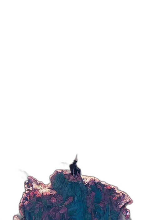 dragon, creature, crown, shoes transparent PNG cut-out