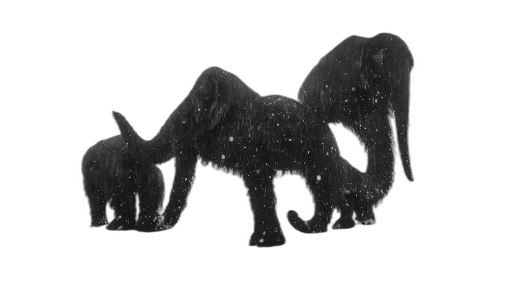 animal, creature, hair, dragon transparent PNG cut-out