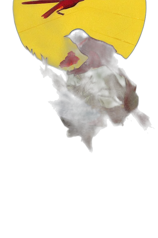 mask, hat, dragon, umbrella transparent PNG cut-out