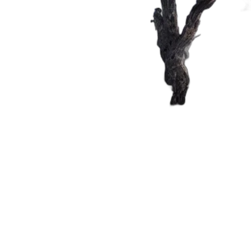 tree, dragon, staff, hair transparent PNG cut-out