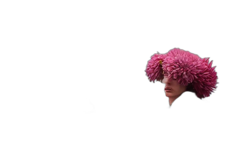 flower, hat, hair, umbrella transparent PNG cut-out