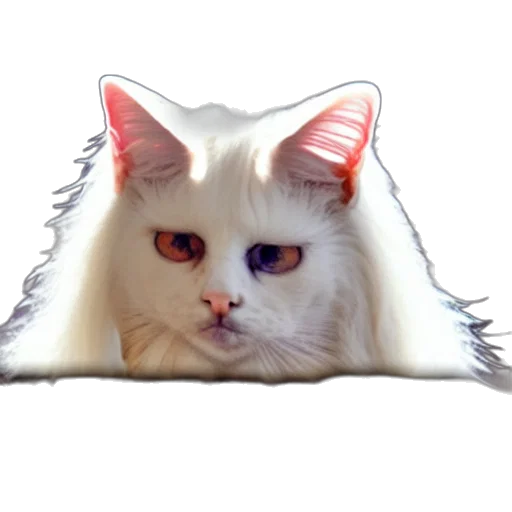 animal, creature, crown, hair transparent PNG cut-out