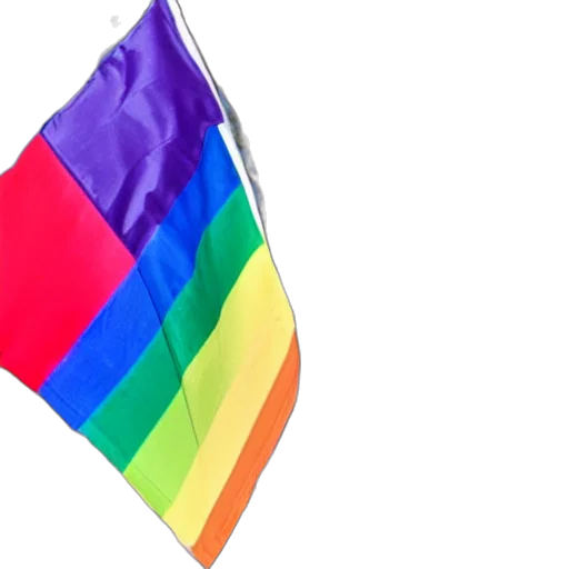 umbrella, stunning, photo, donald, trump, waving, lgbtq, rainbow transparent PNG cut-out