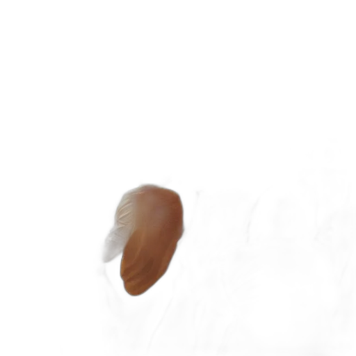 hair, face, hat, creature transparent PNG cut-out