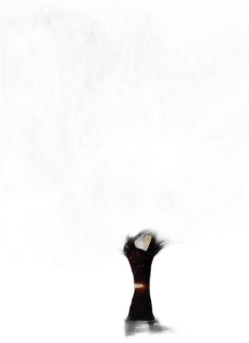 animal, staff, hat, shoes transparent PNG cut-out
