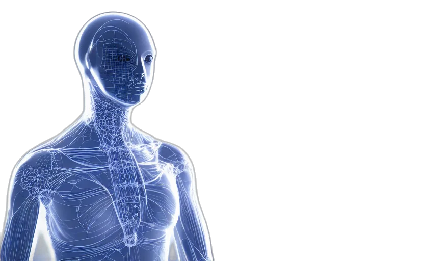 robot, human, performance, wireframe transparent PNG cut-out
