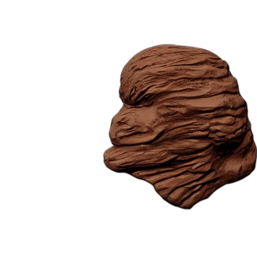 face, mask, hair, food, photorealistic, 3d render, concept art, earth tones transparent PNG cut-out