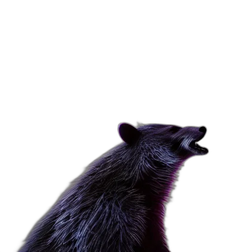 animal, creature, face, staff transparent PNG cut-out