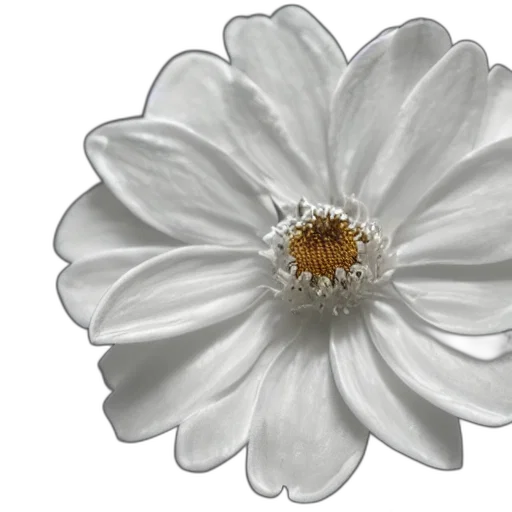 flower, crown, jewelry, staff transparent PNG cut-out