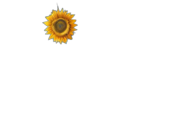 flower, crown, weapon, jewelry, 3d render, pixel art, concept art, photorealistic transparent PNG cut-out