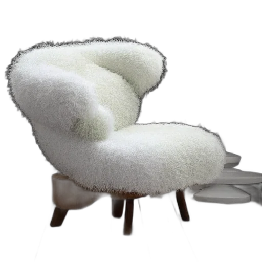 furniture, hat, hair, animal transparent PNG cut-out
