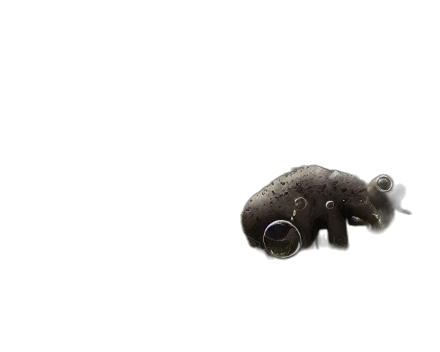 animal, creature, jewelry, staff transparent PNG cut-out