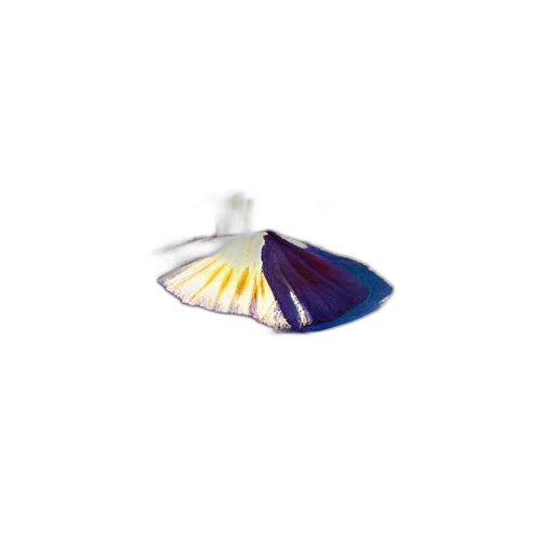 jewelry, umbrella, crown, hat, 3d render, vaporwave, pastel, giant transparent PNG cut-out