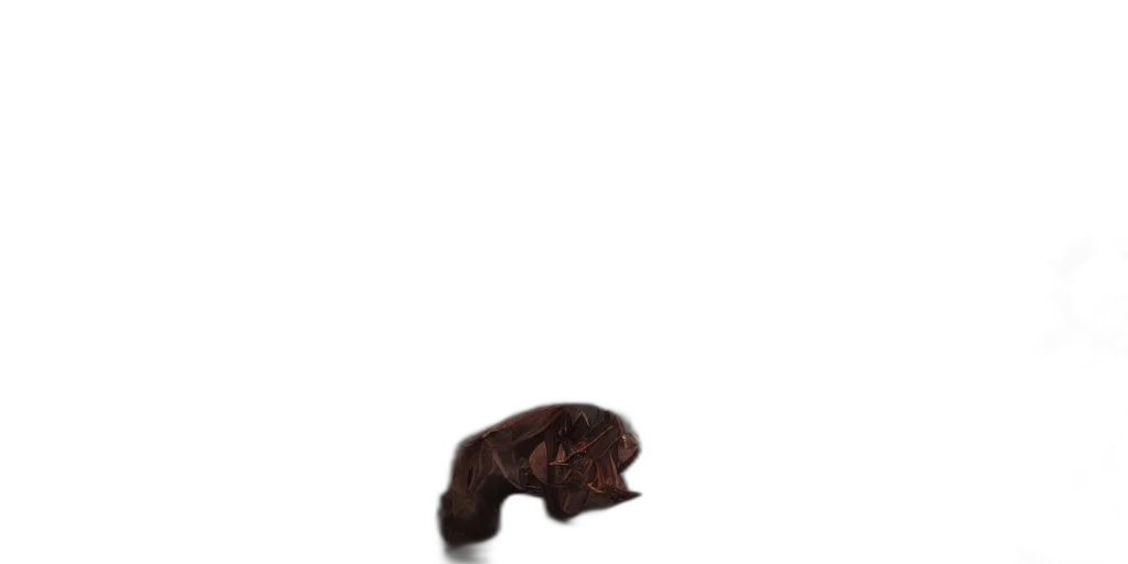 animal, creature, hair, food transparent PNG cut-out