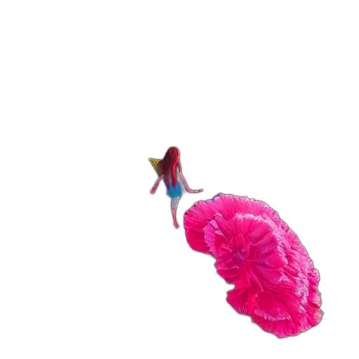flower, umbrella, crown, hat transparent PNG cut-out