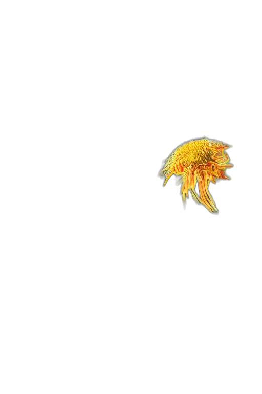 flower, dragon, animal, crown, 3d render, pixel art, photorealistic, concept art transparent PNG cut-out