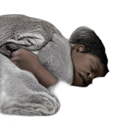 jacket, creature, hair, animal transparent PNG cut-out