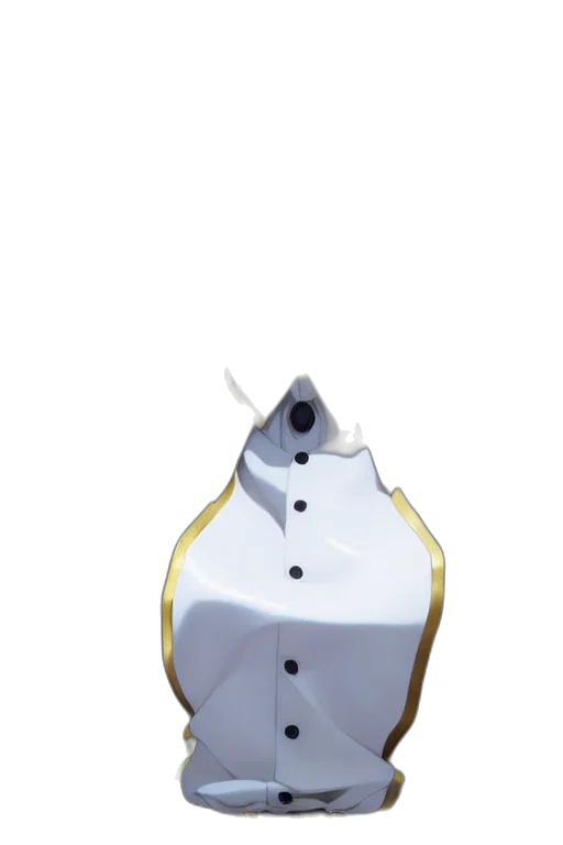 robot, crown, weapon, dress transparent PNG cut-out