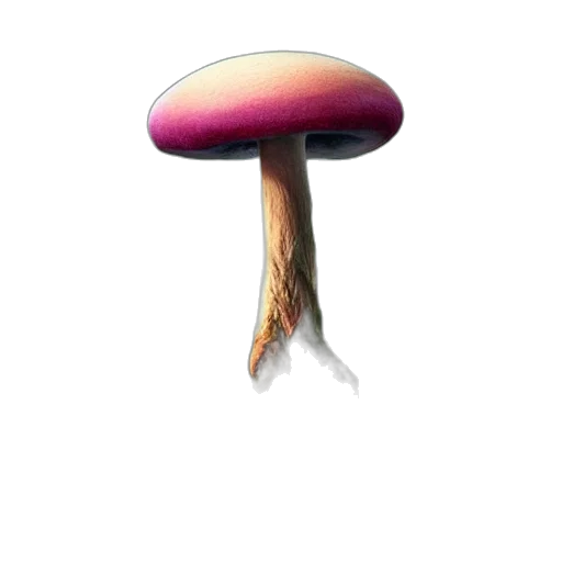 hat, hair, crown, umbrella, 3d render, concept art, pixel art, photorealistic transparent PNG cut-out