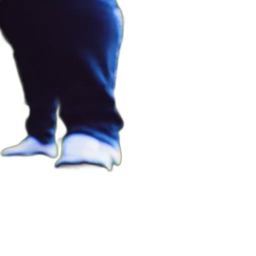 shoes, creature, animal, jacket transparent PNG cut-out