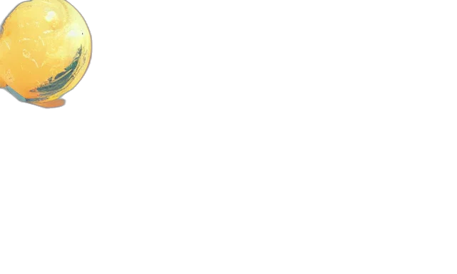 staff, face, hat, earth tones transparent PNG cut-out