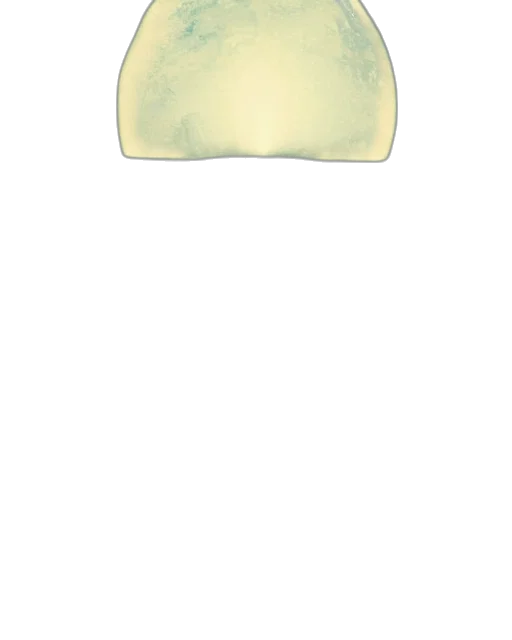 crown, jewelry, mask, hat transparent PNG cut-out