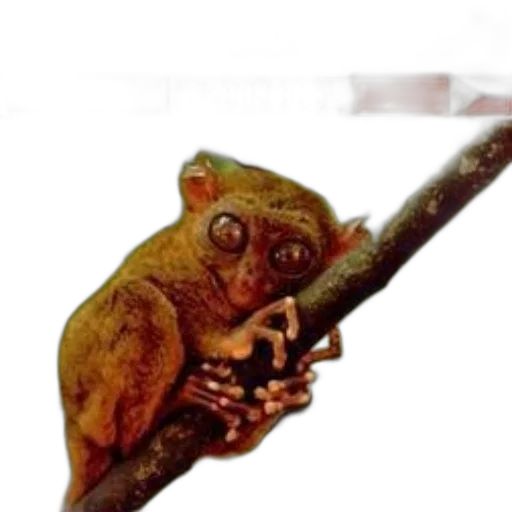 staff, animal, creature, weapon, photorealistic, concept art, oil painting, watercolor transparent PNG cut-out