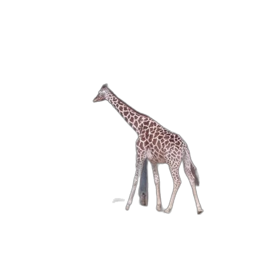 animal, creature, furniture, umbrella, 3d render, concept art, photorealistic, pixel art transparent PNG cut-out