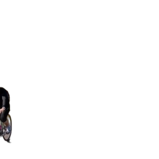 animal, staff, creature, robot, pixel art, concept art, 3d render, photorealistic transparent PNG cut-out