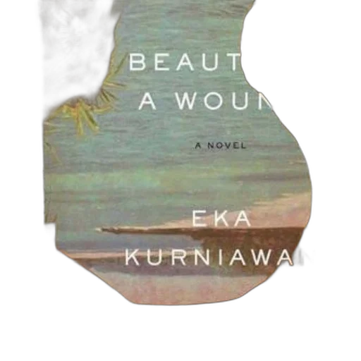 beach, cover, beauty, wound, eka, kurniawan, features, collage transparent PNG cut-out