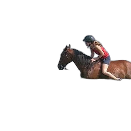 animal, hat, creature, photorealistic, woman, red, tank, top transparent PNG cut-out