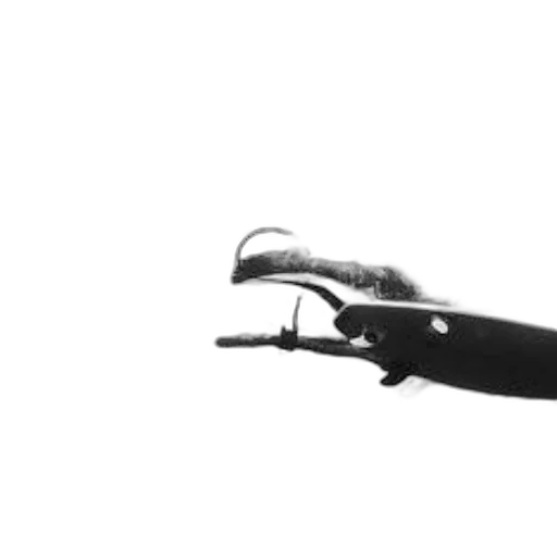 weapon, staff, sword, car, photorealistic, 3d render, concept art, pencil sketch transparent PNG cut-out