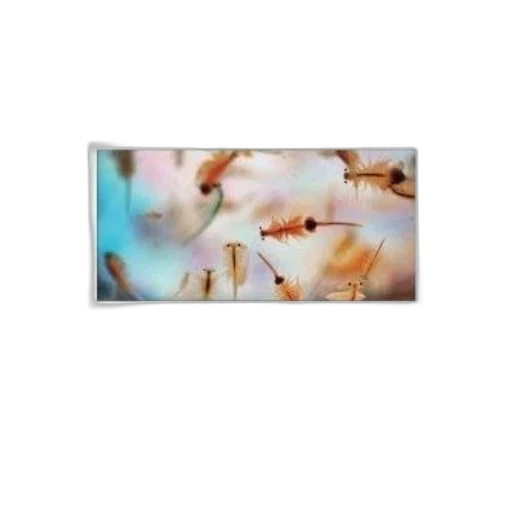 flower, tree, jewelry, animal, photorealistic, 3d render, oil painting, vaporwave transparent PNG cut-out