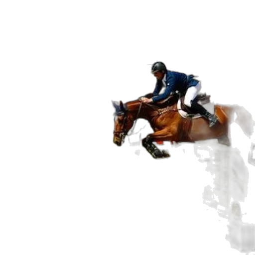 animal, photorealistic, pixel art, rider, blue, jacket, white, pants transparent PNG cut-out